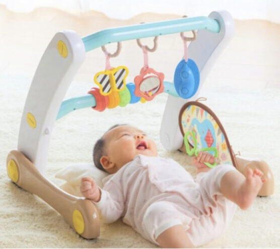 うちの赤ちゃん世界一 スマート知育ジム＆ウォーカーおもちゃの商品画像
